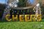 Picture of CHEERS Letters up to 40" / 100 cm Mylar Gold Foil Balloons Wedding