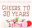 Picture of Cheers To 30 Years Rose Gold Balloons Letters 16"