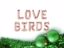 Picture of LOVE BIRDS Rose gold Balloons