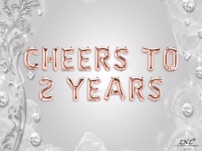 Picture of CHEERS TO 2  YEARS Letter Rose Gold Silver Birthday Balloons
