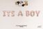 Picture of ITS A BOY Rose Gold Letters 34 Inch Foil Balloons