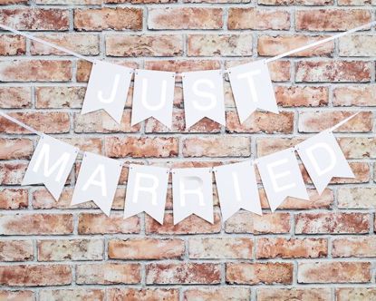 Picture of Just married bunting