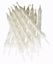 Picture of White Candles birthday