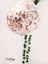 Picture of Rose Gold Balloons 36" Confetti
