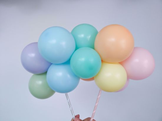 Picture of Pastel Balloons Cake Topper Arch Garland