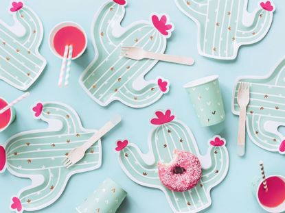Picture of Cactus Plates  Llama Party