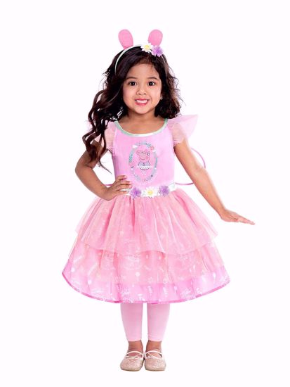 Picture of Peppa Pig Fairy Dress Pink